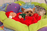 DSCF0051