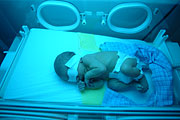 DSCF2431