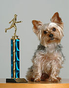 Trophy08